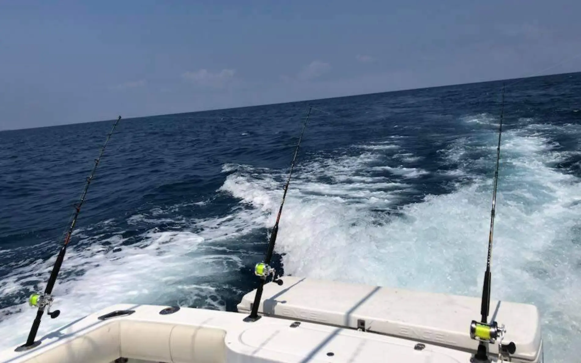 Anuncian torneo de robalo en Tampico 